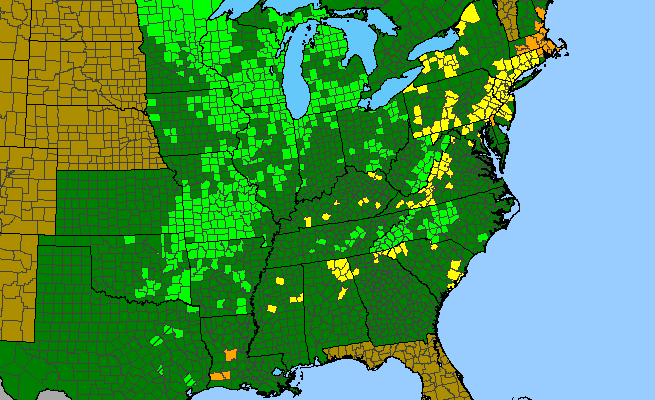 The range of Castilleja coccinea